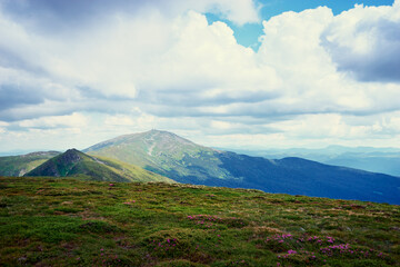 Fototapeta premium Beautiful mountains landscape with green meadow. Carpathians, Ukraine.