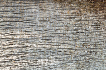 Fototapeta premium Panoramic photo relief texture of dry tree bark. Brown bark background. Banner.