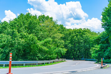 真夏の山の道路
