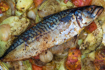 Sea fish mackerel baked in the oven with vegetables. Rustic cuisine
