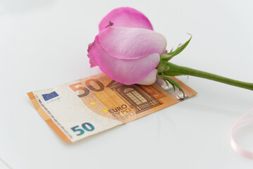 a pink rose as a gift with a euro banknote
