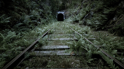 The abandoned railway
