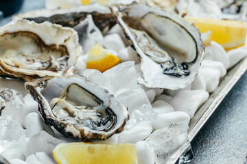 Opened oysters, ice on metal tray with lemon and ice. Restaurant menu, dieting, cookbook recipe
