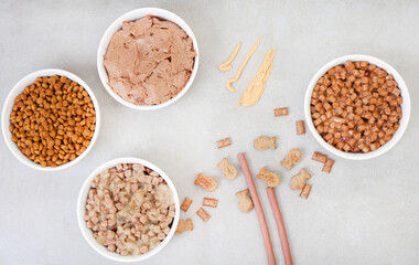 Different types of cat food in in bowls on grey surface with copy space