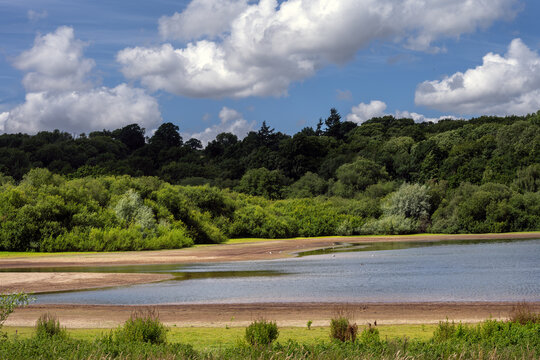 View of Bewl Water reservoir on a summer afternoon, Kent, South of England