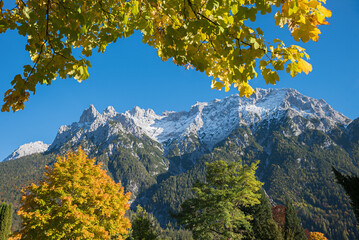 view through autumnal branches of maple tree to Karwendel mountains, Mittenwald