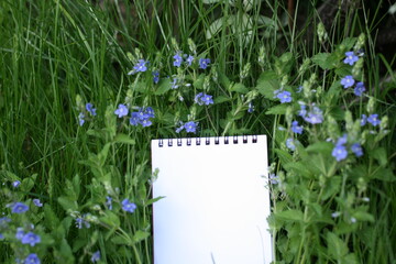 Notebook or white sketch book mock up on green grass. Copy space, top view, place for text, flat lay. Nature, ecology, summer, zero waste lifestyle, organic concept. White paper on a green background 