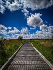 Boardwalk leading into beautiful skies over nature reserve