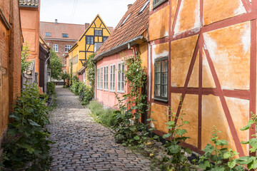 Fototapeta na wymiar picturesque lane with traditional wattle houses and hollyock plants on sidewalk, Helsingor, Denmark