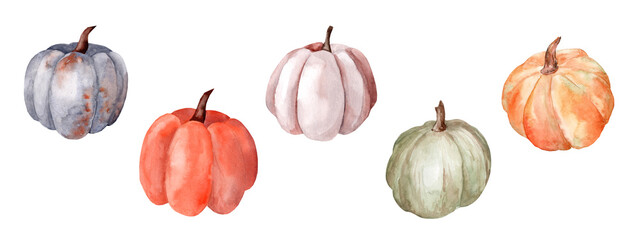Watercolor pumpkin for Halloween. Autumn decor of a farmhouse. Thanksgiving decor