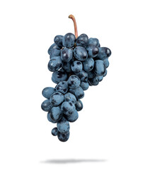 Bunch of dark blue grapes, isolated on white background. File contains a path to isolation.