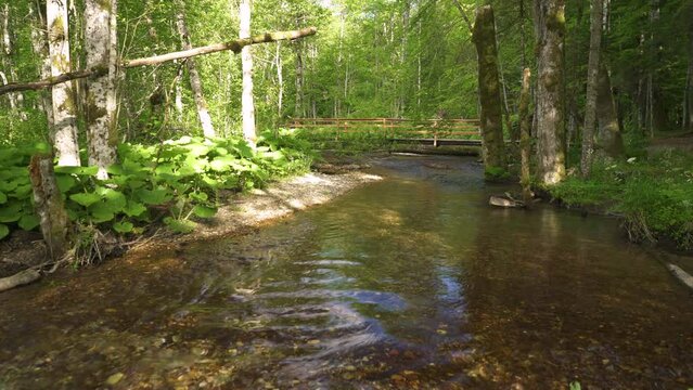 Biogradsko lake and its surroundings