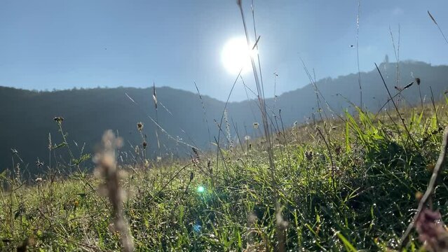 Morgentau auf der schw&auml;bischen Alb - Burg Teck bei Owen, Kirchheim Teck