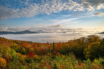 Along the Kancamagus Highway