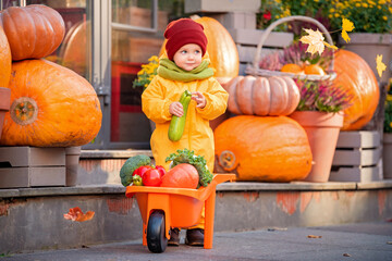 kid in a yellow overalls drives toy car filled with vegetables among large pumpkins at fall fair.