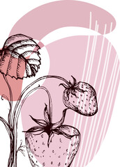 Set of Abstract Strawberry Hand Painted Illustrations for Wall Decoration, minimalist flower in sketch style. Postcard, Social Media Banner, Brochure Cover Design Background. Modern Abstract Artwork.