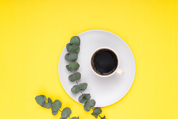 filter coffee in white mug on white plate with eucalyptus, white background