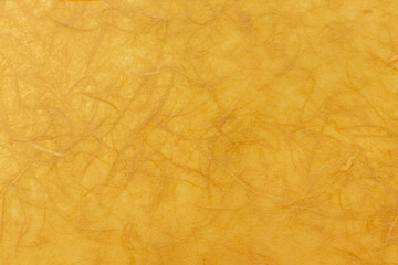 表面に繊維が浮き出た黄色の和紙の質感