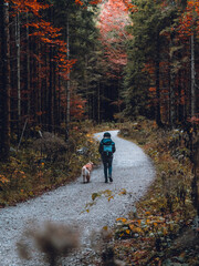 Hiking in a autumn forest