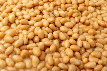 White Kidney Beans Isolated