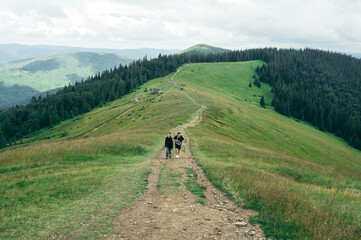 Couple of male and female hikers are climbing the mountains along a path in a pasture.