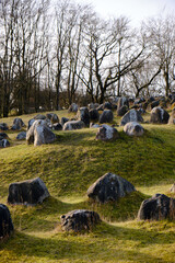 ancient Viking graveyard of Lindholm Hoje