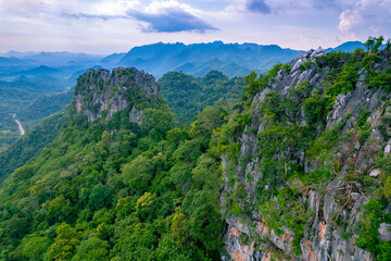 Aerial top view forest tree,  Landscape Mountain Sky Rainforest ecosystem and healthy environment concept and background, Texture of green tree forest view from above