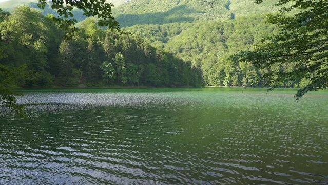 Biogradsko lake and its surroundings