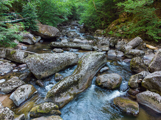 Aerial view of a stream in the forest in Rhodope Mountains near the town of Devin.