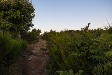 Chemin de randonnée au sommet du Mont Caroux à l'aube, avec la lune
