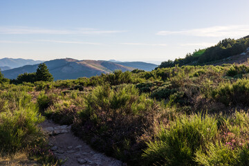 Fototapeta na wymiar Vue matinale sur les paysages des Monts de l'Espinouse depuis le sommet du Caroux dans le Parc naturel régional du haut-Languedoc