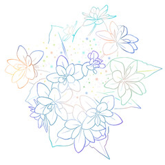 額紫陽花の線画イラスト