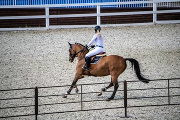 Foto op Plexiglas anti-reflex beautiful horse with rider close-up on the field for equestrian events © константин константи