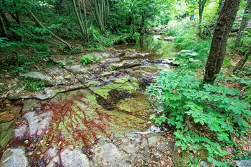 Red stones, green bushes and the creek coming from Cehennem Waterfall of Kirklareli Province in...