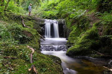 waterfall in the forest