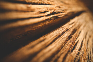 Wood Texture, Wooden Plank Grain Background, Desk in Perspective Close Up, Striped Timber, Old...