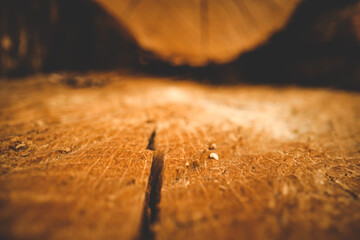 Wood Texture, Wooden Plank Grain Background, Desk in Perspective Close Up, Striped Timber, Old Table or Floor Board