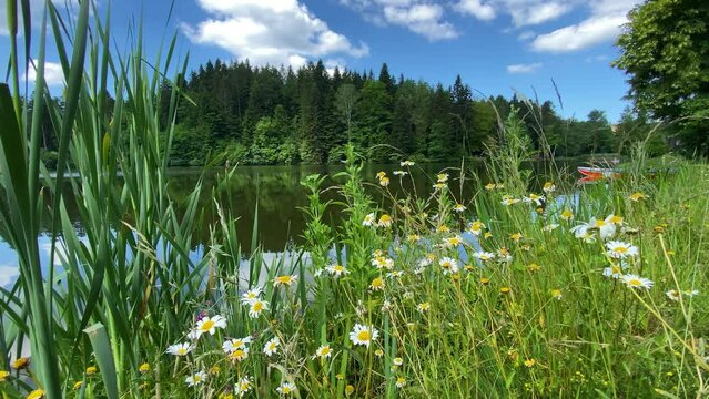 Blick auf den Ebnisee bei Kaisersbach, Baden W&uuml;rttemberg