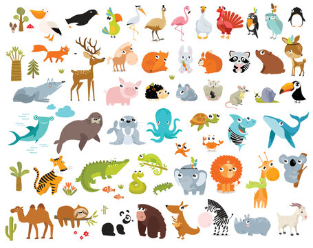 Print. Big vector set of cartoon animals. Forest animals, tropical animals, sea animals.
