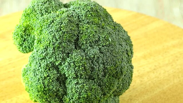 Close up broccoli , in studio Chiangmai Thailand.