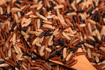 Three colors of Thai jasmine rice. High mineral rice, healthy food.