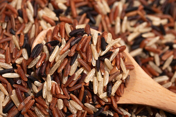 Three colors of Thai jasmine rice. High mineral rice, healthy food.