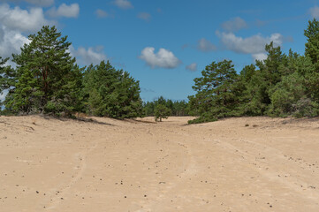 moorland in hiiumaa, estonia, europe