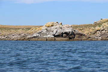 Fototapeta premium rocks and sea