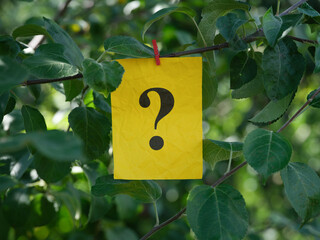 A yellow paper note with the question mark on it attached to a tree with a clothes pin
