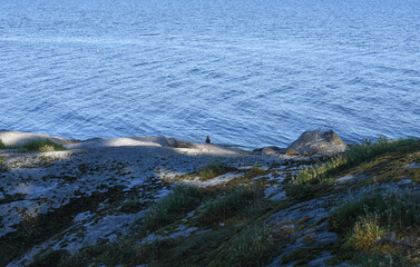 Outcrop in the archipelago
