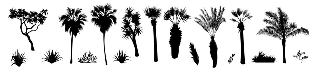 Fototapeta na wymiar Black Palm Tree Illustration Silhouette Logo Symbol Vector