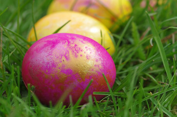 Colorfull eggs on green grass. Easter