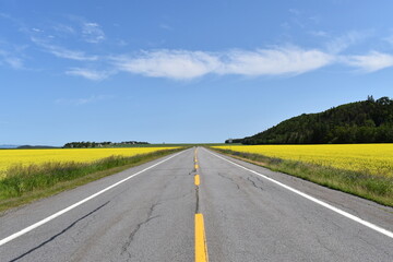 The road in summer, Québec, Canada