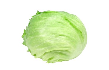 レタス イラスト リアル